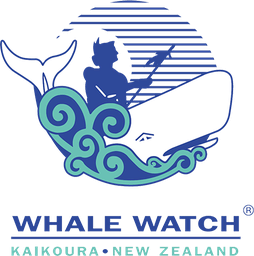 Whale Watch Kaikōura